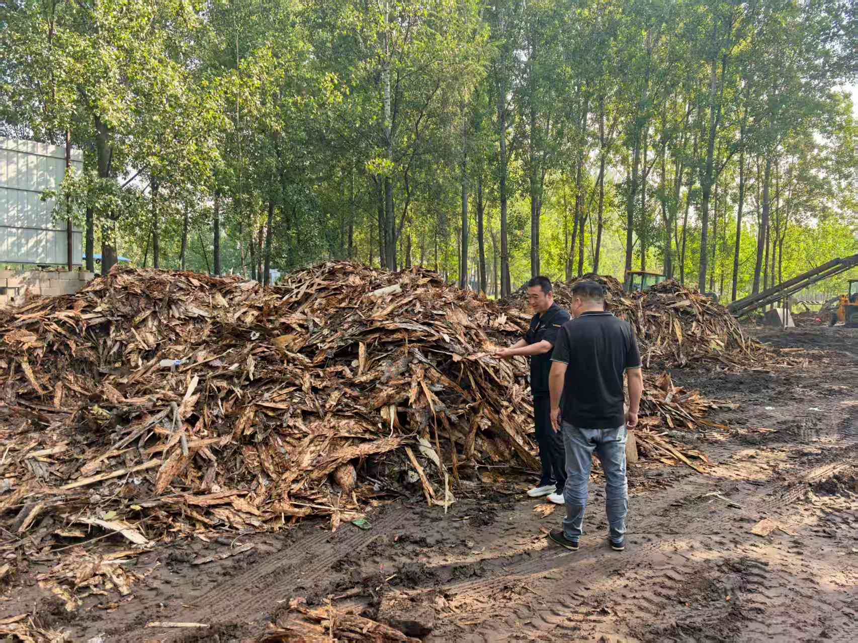 德赢·(VWIN)官方网站-AC米兰官方相助同伴